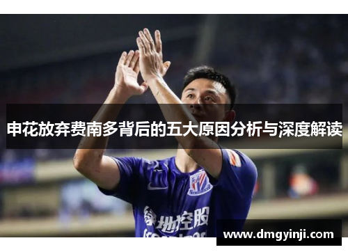 申花放弃费南多背后的五大原因分析与深度解读