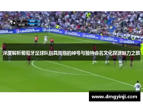 深度解析葡萄牙足球队别具风格的绰号与独特命名文化探源魅力之旅