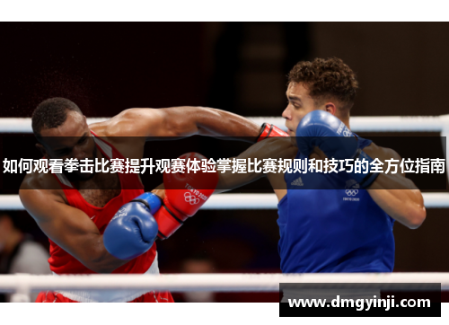 如何观看拳击比赛提升观赛体验掌握比赛规则和技巧的全方位指南